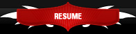 Download Professional web designer CV