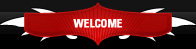 About Professional Freelance Website Designer